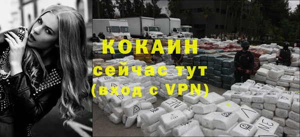 гашик Кодинск
