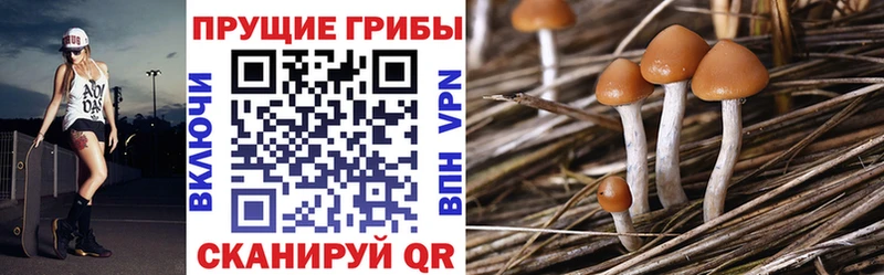 Псилоцибиновые грибы MAGIC MUSHROOMS  Первоуральск 