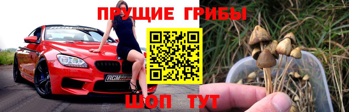 Первоуральск  Галлюциногенные грибы Psilocybine cubensis  Вход с VPN 